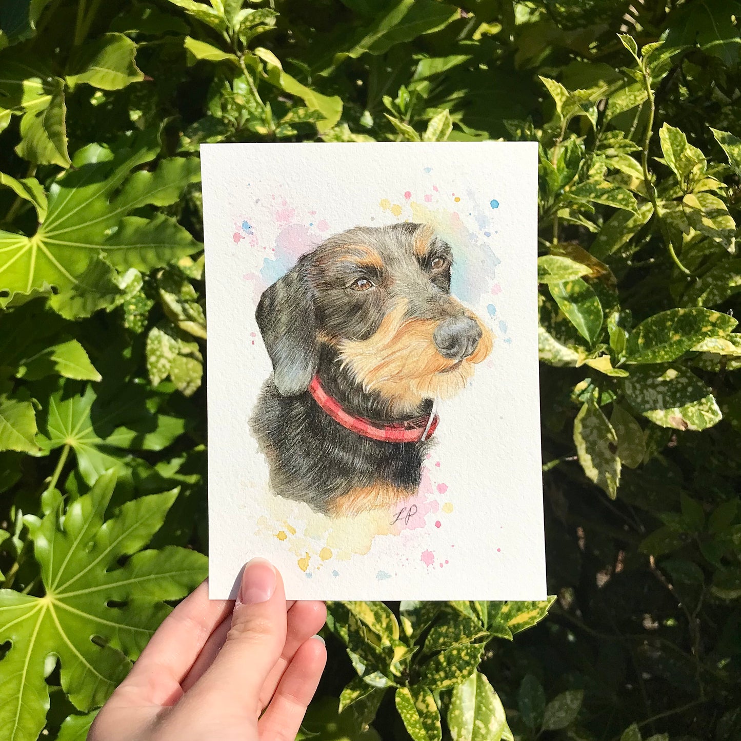Miniature Pet Portrait