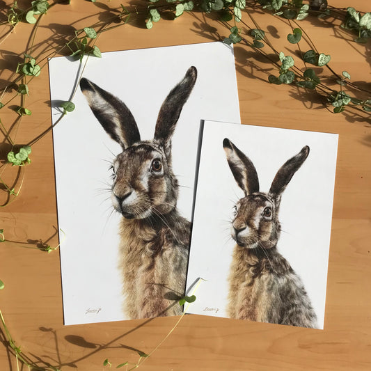 Hare Print
