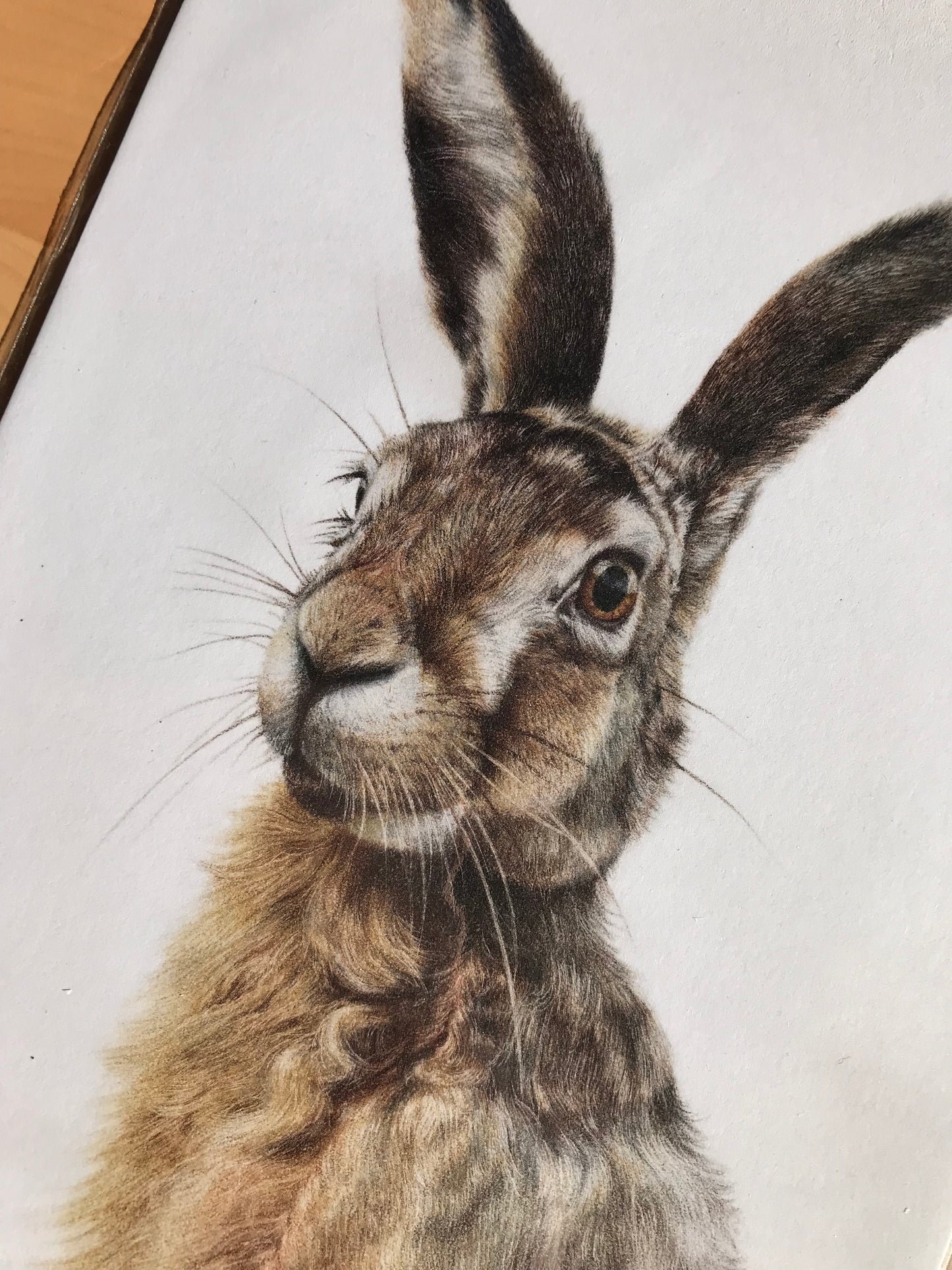 Hare Print