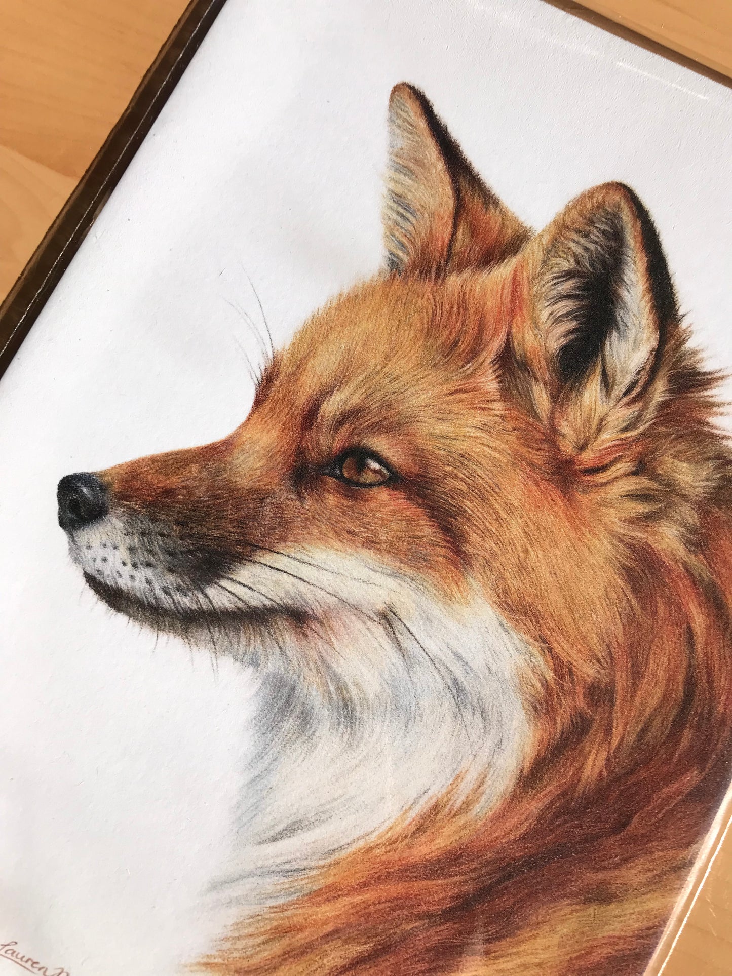 Fox Print