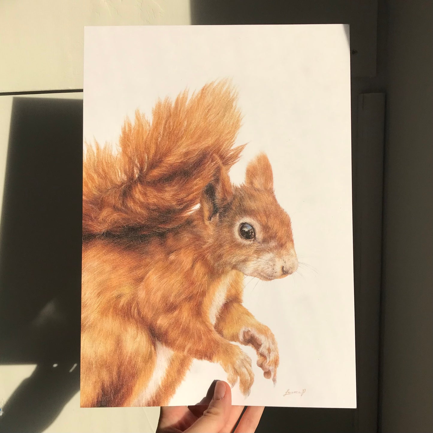 Red Squirrel Print