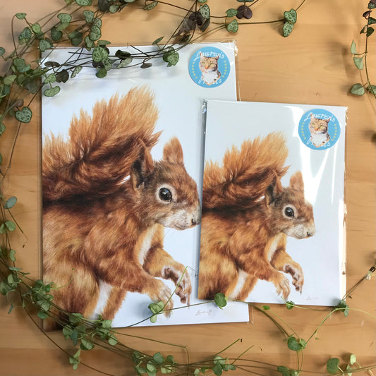 Red Squirrel Print